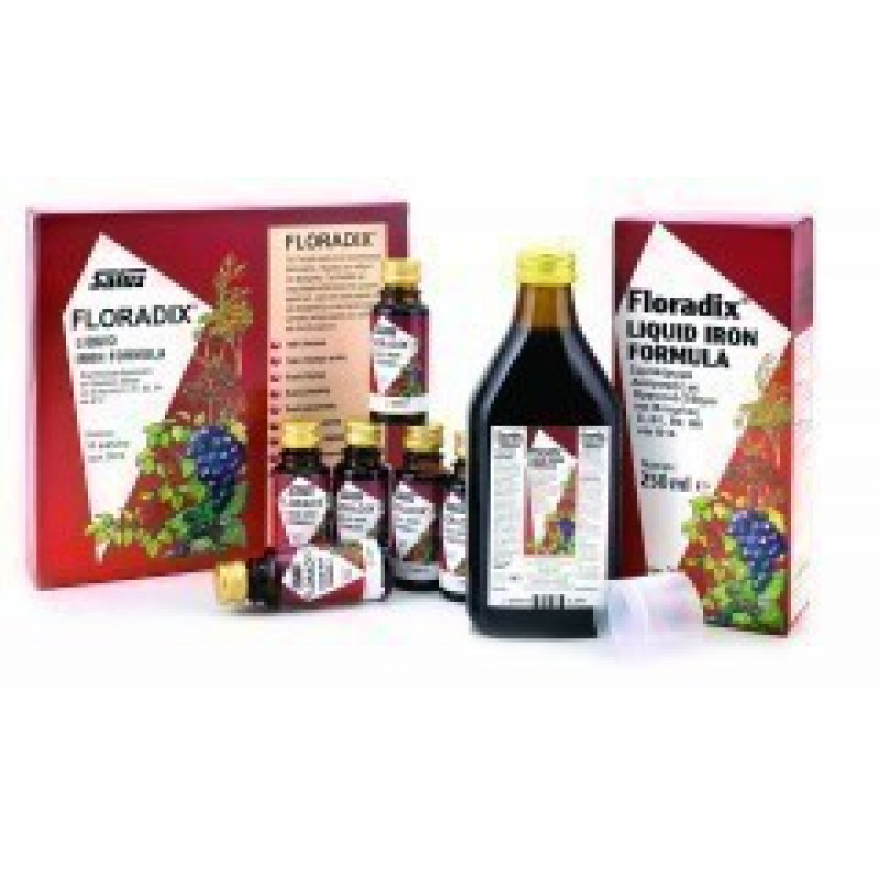 POWER HEALTH FLORADIX IRON FORMULA 250ML