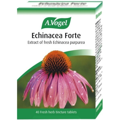 A.VOGEL ECHINAFORCE PROTECT 1140MG 40CAPS